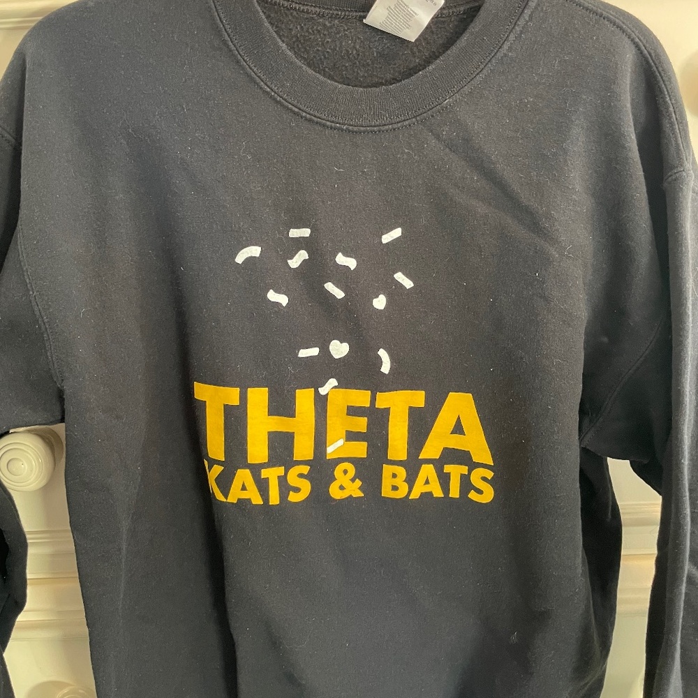 Kappa Alpha Theta Drake themed Philanthropy Sweatshirt